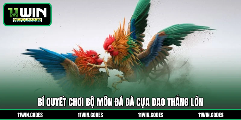 Bí quyết chơi bộ môn đá gà cựa dao thắng lớn