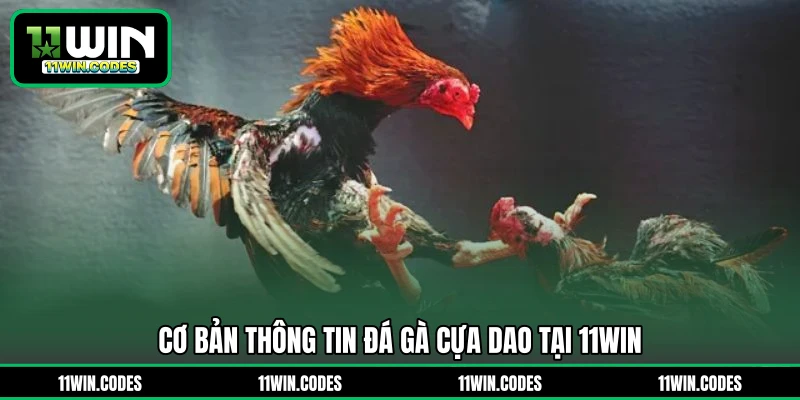 Cơ bản thông tin đá gà cựa dao tại 11WIN