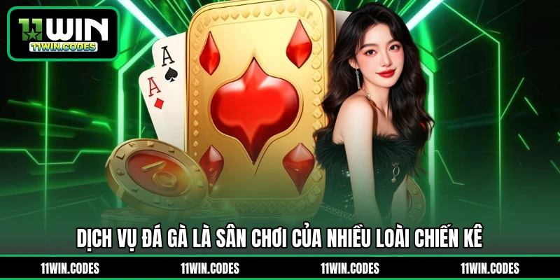 Dịch vụ đá gà là sân chơi của nhiều loài chiến kê