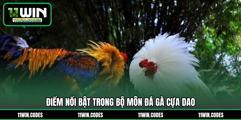 Điểm nổi bật trong bộ môn đá gà cựa dao