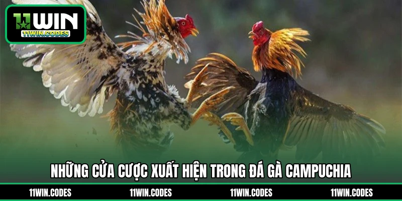 Những cửa cược xuất hiện trong đá gà Campuchia