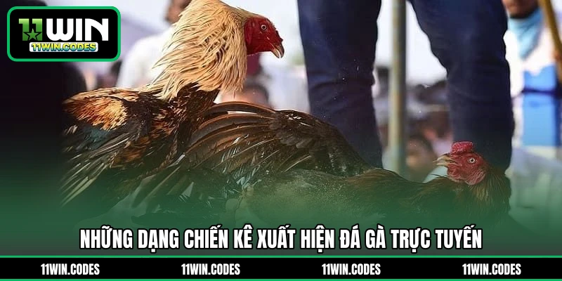 Những dạng chiến kê xuất hiện đá gà trực tuyến